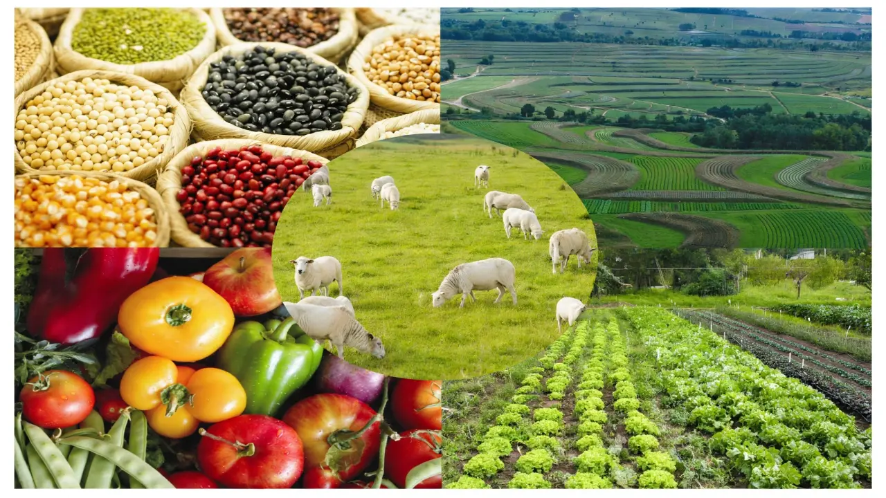 Agroindústria Autossustentável Sertão Nordestino